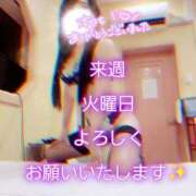 ヒメ日記 2025/05/11 00:42 投稿 川島 ゆき ソープランド蜜 人妻・美熟女専門店