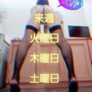 ヒメ日記 2025/06/27 18:06 投稿 川島 ゆき ソープランド蜜 人妻・美熟女専門店