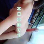 ヒメ日記 2025/08/21 11:32 投稿 川島 ゆき ソープランド蜜 人妻・美熟女専門店