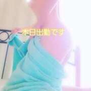 ヒメ日記 2025/10/25 09:59 投稿 川島 ゆき ソープランド蜜 人妻・美熟女専門店