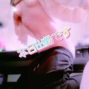 ヒメ日記 2025/11/04 09:52 投稿 川島 ゆき ソープランド蜜 人妻・美熟女専門店