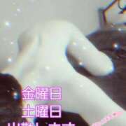 ヒメ日記 2025/11/20 11:42 投稿 川島 ゆき ソープランド蜜 人妻・美熟女専門店