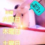 ヒメ日記 2025/11/21 20:52 投稿 川島 ゆき ソープランド蜜 人妻・美熟女専門店