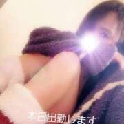 ヒメ日記 2025/11/29 12:03 投稿 川島 ゆき ソープランド蜜 人妻・美熟女専門店