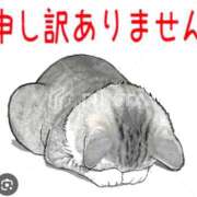 ヒメ日記 2025/12/11 11:52 投稿 川島 ゆき ソープランド蜜 人妻・美熟女専門店