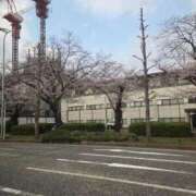 ヒメ日記 2026/03/29 15:02 投稿 川島 ゆき ソープランド蜜 人妻・美熟女専門店