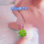ヒメ日記 2026/06/04 11:58 投稿 川島 ゆき ソープランド蜜 人妻・美熟女専門店