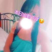 ヒメ日記 2026/06/19 09:48 投稿 川島 ゆき ソープランド蜜 人妻・美熟女専門店