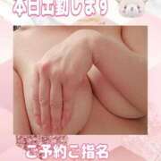 ヒメ日記 2024/12/15 12:04 投稿 吉岡　のぞみ ソープランド蜜 人妻・美熟女専門店