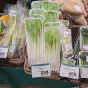 ヒメ日記 2025/01/31 17:28 投稿 吉岡　のぞみ ソープランド蜜 人妻・美熟女専門店