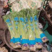 ヒメ日記 2025/01/31 17:42 投稿 吉岡　のぞみ ソープランド蜜 人妻・美熟女専門店