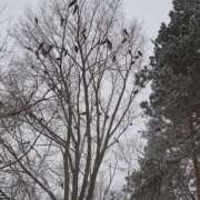 ヒメ日記 2025/02/09 17:50 投稿 吉岡　のぞみ ソープランド蜜 人妻・美熟女専門店