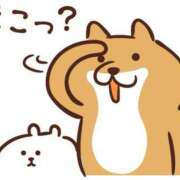 ヒメ日記 2025/04/03 15:25 投稿 吉岡　のぞみ ソープランド蜜 人妻・美熟女専門店