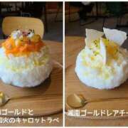 ヒメ日記 2025/04/08 08:55 投稿 吉岡　のぞみ ソープランド蜜 人妻・美熟女専門店