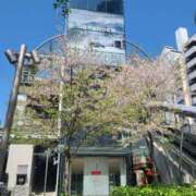 ヒメ日記 2025/04/09 12:52 投稿 吉岡　のぞみ ソープランド蜜 人妻・美熟女専門店