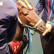 ヒメ日記 2025/04/29 23:32 投稿 吉岡　のぞみ ソープランド蜜 人妻・美熟女専門店