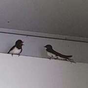 ヒメ日記 2025/06/02 20:52 投稿 吉岡　のぞみ ソープランド蜜 人妻・美熟女専門店