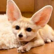 ヒメ日記 2025/06/09 21:22 投稿 吉岡　のぞみ ソープランド蜜 人妻・美熟女専門店