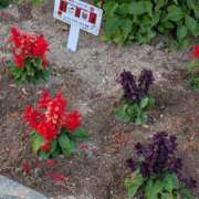 ヒメ日記 2025/06/18 18:32 投稿 吉岡　のぞみ ソープランド蜜 人妻・美熟女専門店