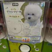 ヒメ日記 2025/06/26 15:02 投稿 吉岡　のぞみ ソープランド蜜 人妻・美熟女専門店