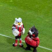 ヒメ日記 2025/06/28 19:02 投稿 吉岡　のぞみ ソープランド蜜 人妻・美熟女専門店