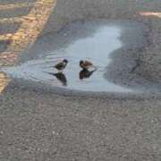 ヒメ日記 2025/07/20 13:12 投稿 吉岡　のぞみ ソープランド蜜 人妻・美熟女専門店