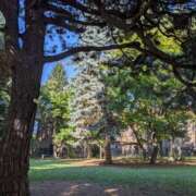 ヒメ日記 2025/08/13 16:52 投稿 吉岡　のぞみ ソープランド蜜 人妻・美熟女専門店