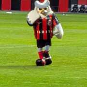 ヒメ日記 2025/08/16 19:56 投稿 吉岡　のぞみ ソープランド蜜 人妻・美熟女専門店