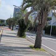 ヒメ日記 2025/08/24 09:02 投稿 吉岡　のぞみ ソープランド蜜 人妻・美熟女専門店