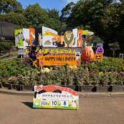 ヒメ日記 2025/10/08 16:52 投稿 吉岡　のぞみ ソープランド蜜 人妻・美熟女専門店