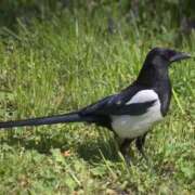 ヒメ日記 2025/10/11 18:52 投稿 吉岡　のぞみ ソープランド蜜 人妻・美熟女専門店