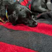 ヒメ日記 2025/11/08 23:07 投稿 吉岡　のぞみ ソープランド蜜 人妻・美熟女専門店