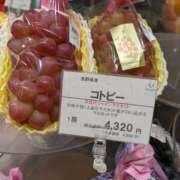 ヒメ日記 2025/11/18 14:01 投稿 吉岡　のぞみ ソープランド蜜 人妻・美熟女専門店