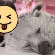 ヒメ日記 2025/11/20 19:34 投稿 吉岡　のぞみ ソープランド蜜 人妻・美熟女専門店