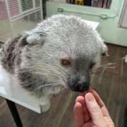 ヒメ日記 2025/11/20 19:37 投稿 吉岡　のぞみ ソープランド蜜 人妻・美熟女専門店