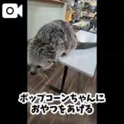 ヒメ日記 2025/11/21 14:42 投稿 吉岡　のぞみ ソープランド蜜 人妻・美熟女専門店