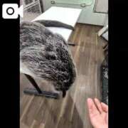 ヒメ日記 2025/11/21 15:49 投稿 吉岡　のぞみ ソープランド蜜 人妻・美熟女専門店