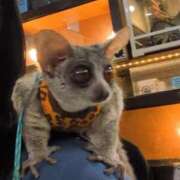 ヒメ日記 2025/11/22 19:02 投稿 吉岡　のぞみ ソープランド蜜 人妻・美熟女専門店