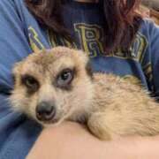 ヒメ日記 2025/11/22 20:12 投稿 吉岡　のぞみ ソープランド蜜 人妻・美熟女専門店