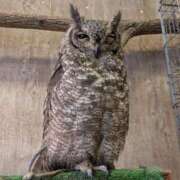 ヒメ日記 2025/11/27 21:59 投稿 吉岡　のぞみ ソープランド蜜 人妻・美熟女専門店