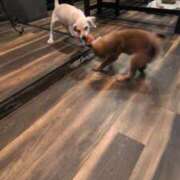 ヒメ日記 2025/11/27 22:47 投稿 吉岡　のぞみ ソープランド蜜 人妻・美熟女専門店