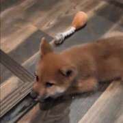 ヒメ日記 2025/11/27 22:53 投稿 吉岡　のぞみ ソープランド蜜 人妻・美熟女専門店