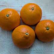 ヒメ日記 2025/12/28 16:12 投稿 吉岡　のぞみ ソープランド蜜 人妻・美熟女専門店