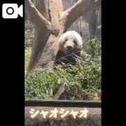 ヒメ日記 2026/01/12 02:52 投稿 吉岡　のぞみ ソープランド蜜 人妻・美熟女専門店