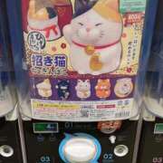 ヒメ日記 2026/01/26 23:42 投稿 吉岡　のぞみ ソープランド蜜 人妻・美熟女専門店