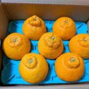 ヒメ日記 2026/01/28 12:42 投稿 吉岡　のぞみ ソープランド蜜 人妻・美熟女専門店