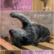 ヒメ日記 2026/03/15 19:12 投稿 吉岡　のぞみ ソープランド蜜 人妻・美熟女専門店