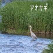 ヒメ日記 2026/05/30 22:02 投稿 吉岡　のぞみ ソープランド蜜 人妻・美熟女専門店