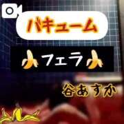 ヒメ日記 2024/12/16 22:09 投稿 谷　あすか ソープランド蜜 人妻・美熟女専門店