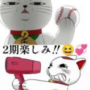 ヒメ日記 2024/12/20 10:02 投稿 谷　あすか ソープランド蜜 人妻・美熟女専門店